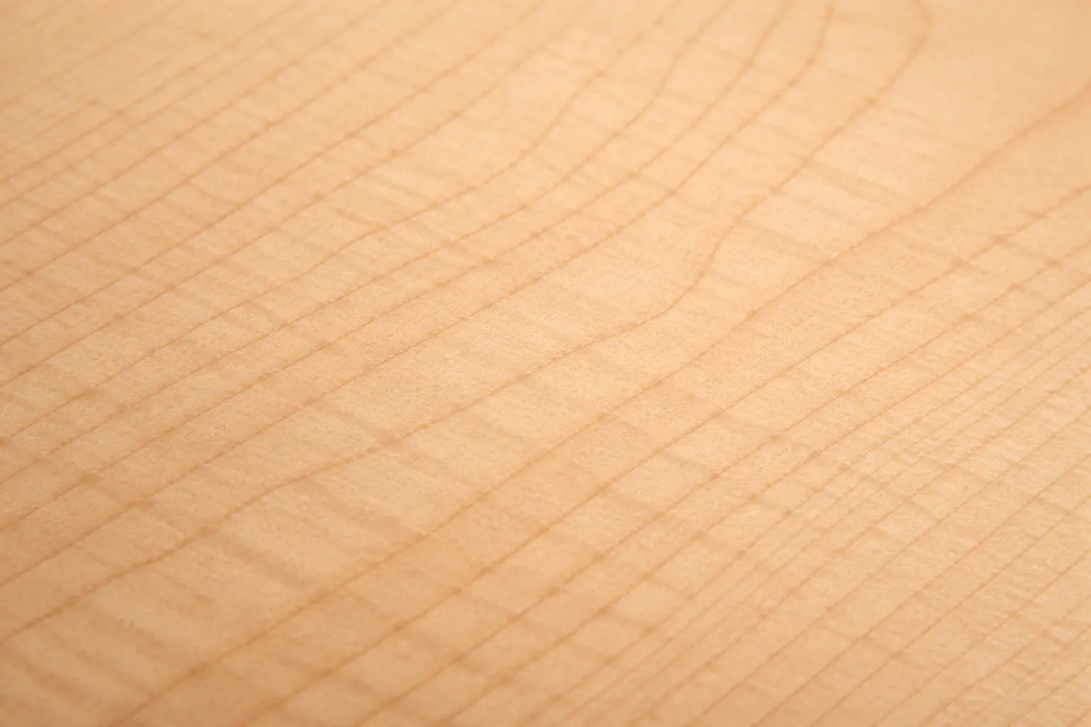 Macro image of maple tonewood