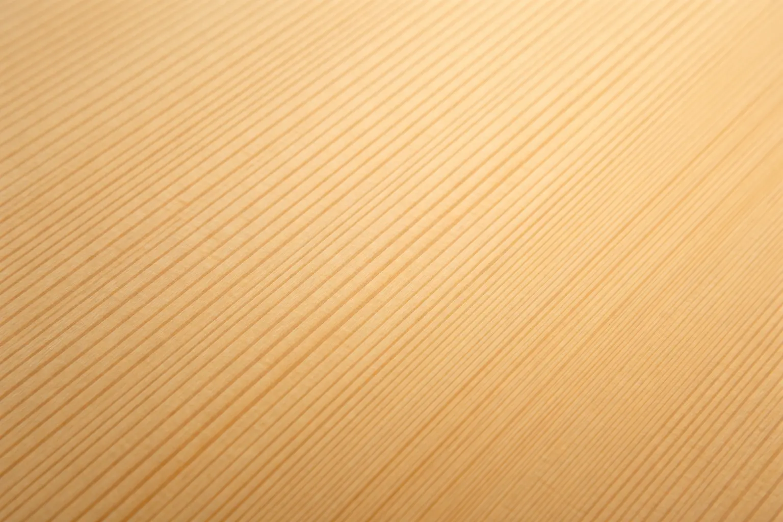 Detailed view of annual rings in spruce tonewood