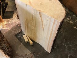 Tonewood-Berkmann-Riefensberg_15